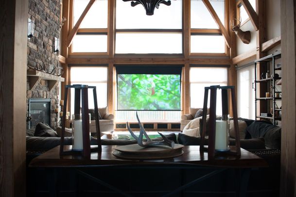 Cozy living room with fireplace and projection screen showing a green parrot scene